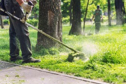 Landscaping Accident